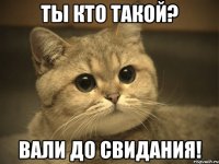 ты кто такой? вали до свидания!