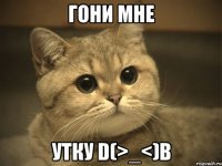 гони мне утку d(>_<)b