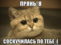 прянь, я соскучилась по тебе :[