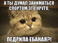 а ты думал заниматься спортом это круто, педрила ебаная?!