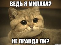 ведь я милаха? не правда ли?