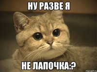 ну разве я не лапочка:?