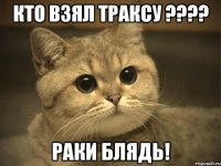 кто взял траксу ??? раки блядь!