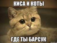 киса и коты где ты барсук