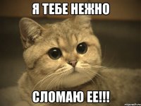 я тебе нежно сломаю ее!!!