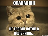 опанасюк не трогай котов а получишь...