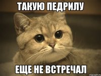 такую педрилу еще не встречал