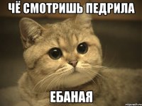 чё смотришь педрила ебаная