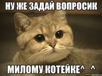 ну же задай вопросик милому котейке^_^