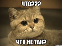 что??? что не так?