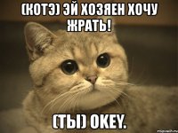 (котэ) эй хозяен хочу жрать! (ты) okey.