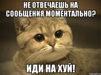 не отвечаешь на сообщения моментально? иди на хуй!