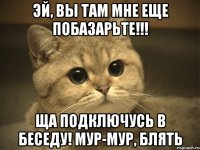 эй, вы там мне еще побазарьте!!! ща подключусь в беседу! мур-мур, блять