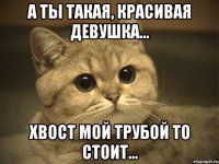 а ты такая, красивая девушка... хвост мой трубой то стоит...