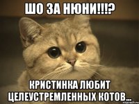 шо за нюни!!!? кристинка любит целеустремленных котов...