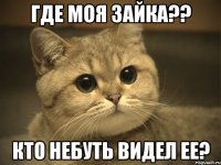 где моя зайка?? кто небуть видел ее?