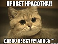 привет красотка!! давно не встречались***