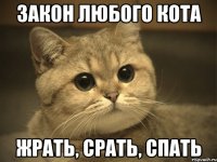 закон любого кота жрать, срать, спать