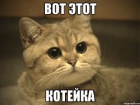 вот этот котейка