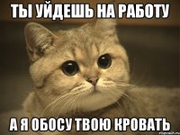 ты уйдешь на работу а я обосу твою кровать