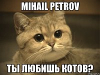 mihail petrov ты любишь котов?