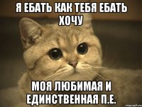 я ебать как тебя ебать хочу моя любимая и единственная п.е.