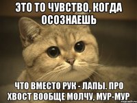 это то чувство, когда осознаешь что вместо рук - лапы. про хвост вообще молчу, мур-мур