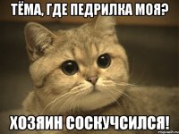 тёма, где педрилка моя? хозяин соскучсился!