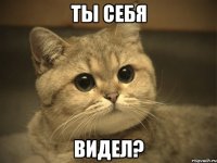 ты себя видел?