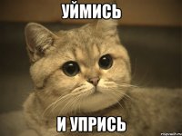 уймись и упрись