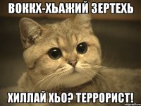 воккх-хьажий зертехь хиллай хьо? террорист!