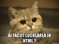  ai facut lucrearea in html ?