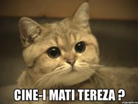  cine-i mati tereza ?