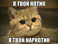 я твой котик я твой наркотик