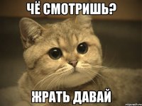 чё смотришь? жрать давай