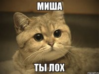 миша ты лох