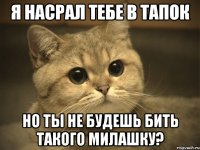 я насрал тебе в тапок но ты не будешь бить такого милашку?