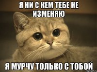 я ни с кем тебе не изменяю я мурчу только с тобой