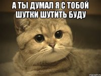 а ты думал я с тобой шутки шутить буду 