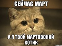 сейчас март а я твой мартовский котик