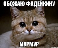 обожаю фадейкину мурмур