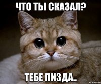 что ты сказал? тебе пизда..