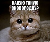 какую такую сковородку? 