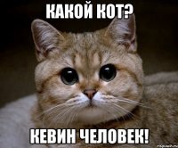 какой кот? кевин человек!