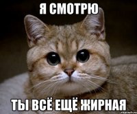 я смотрю ты всё ещё жирная