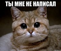 ты мне не написал 