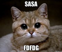 sasa fdfdg