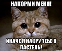 накорми меня! иначе я насру тебе в пастель!