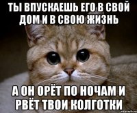 ты впускаешь его в свой дом и в свою жизнь а он орёт по ночам и рвёт твои колготки