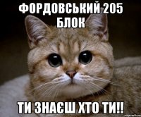 фордовський 205 блок ти знаєш хто ти!!